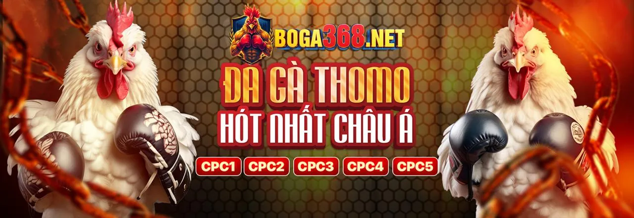 Tổng quan thị trường cá cược trực tuyến toàn cầu và xu hướng phát triển